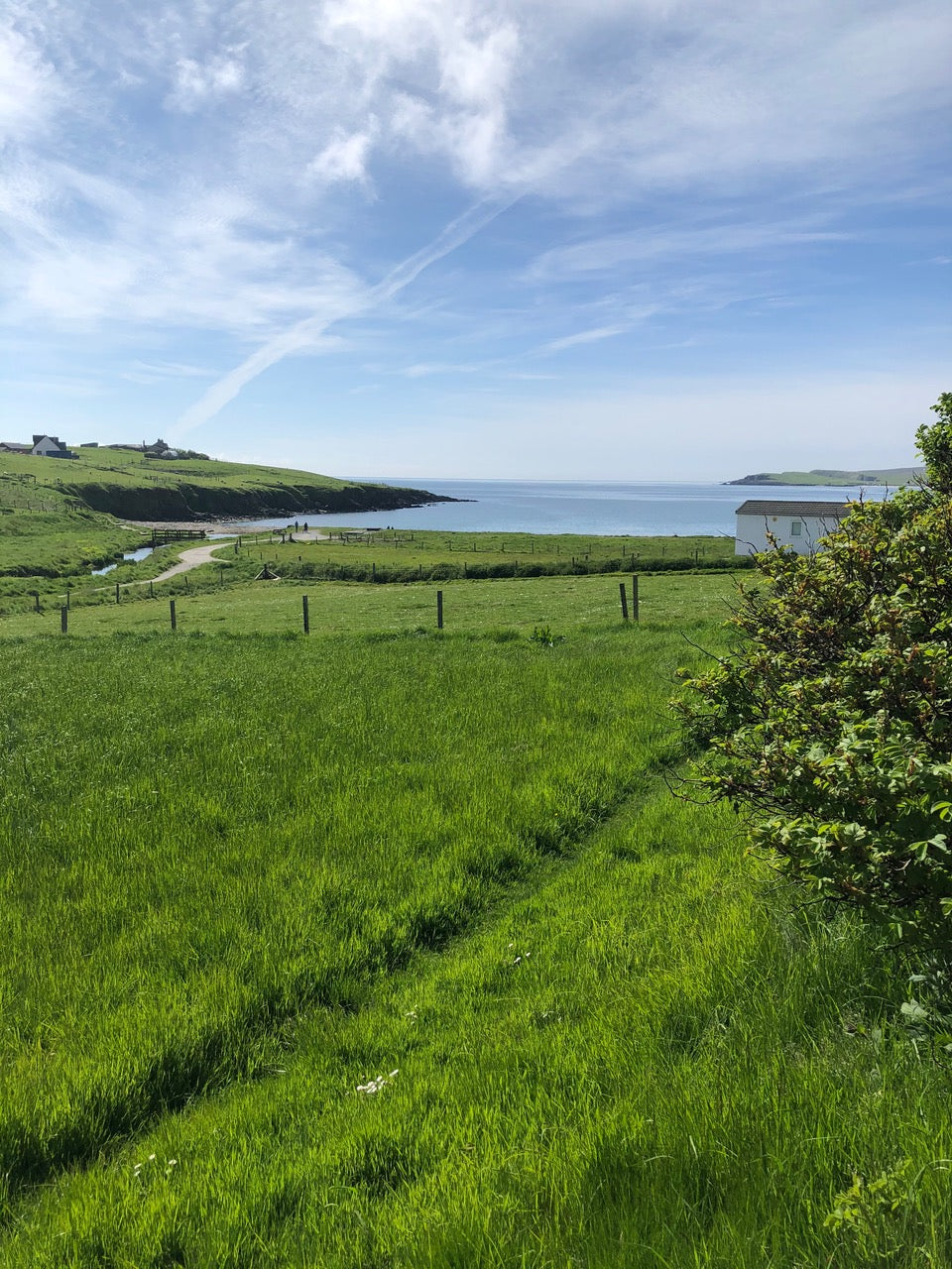 A view to Hoswick bay, Shetland, across fields on a sunny summer day. Blue sky and wispy clouds. Lush green grass.