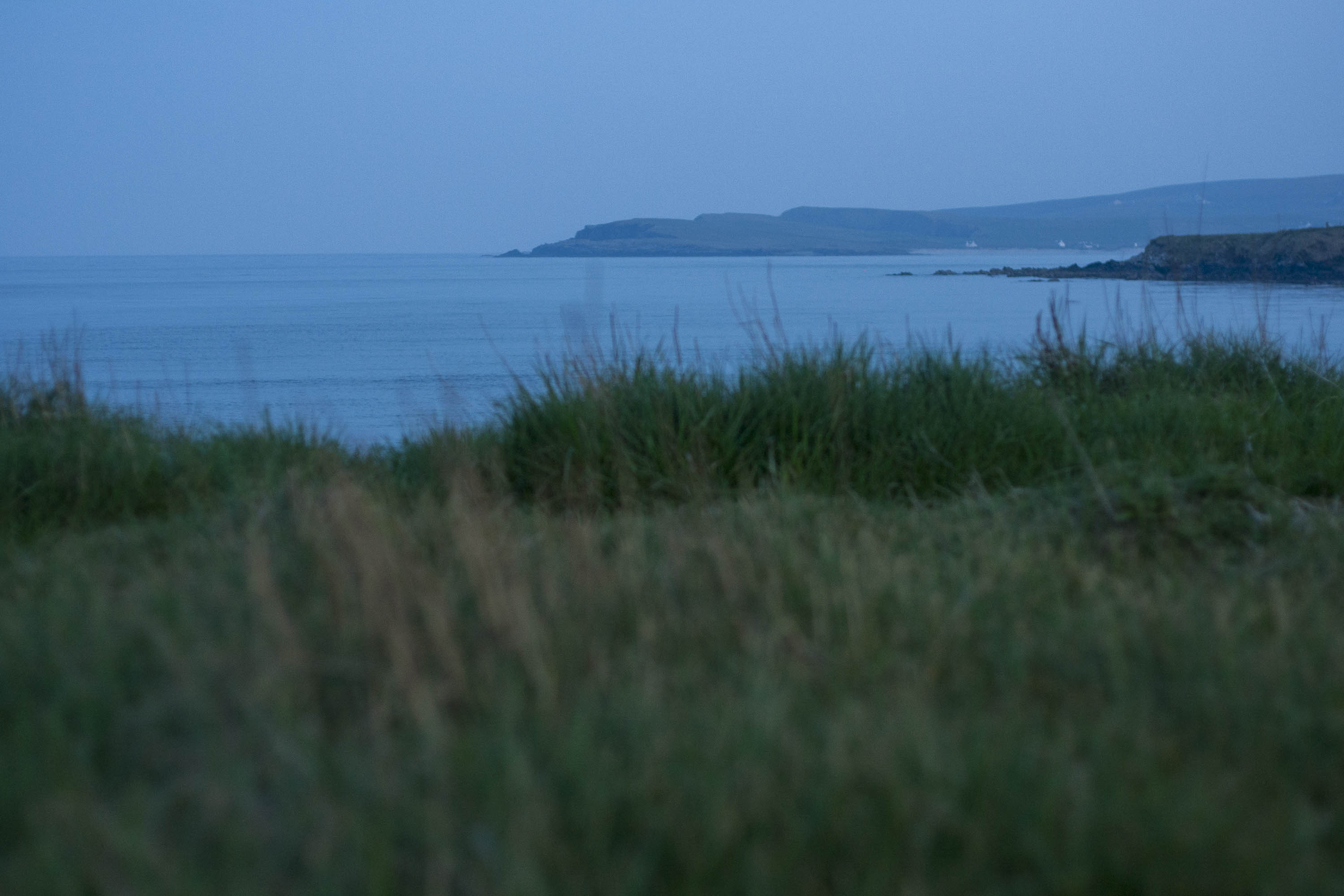 View across the long grass of a Shetland coastal meadow to the sea at Hoswick. Looking south at twilight, the headland is visible at Levenwick.