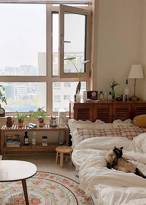 Top 10 Dream Dorm Essentials with Ever Lasting ♡ | Room Decor Tips ...