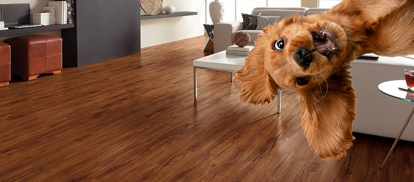 Waterproof Luxury Vinyl Flooring Best Floor for Dogs