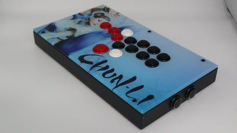 FightBox F8-PC Arcade Game Controller Custom Panel Project 2023/11/14