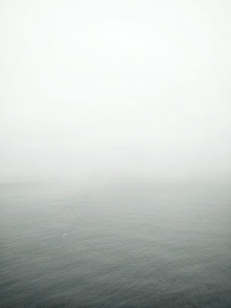 Fog over the SF Bay