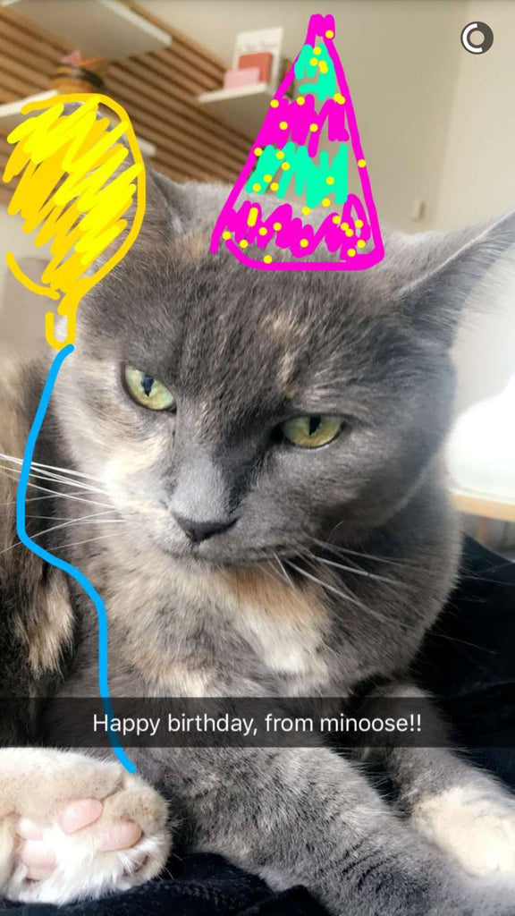 Snapchat of a cat in a birthday hat