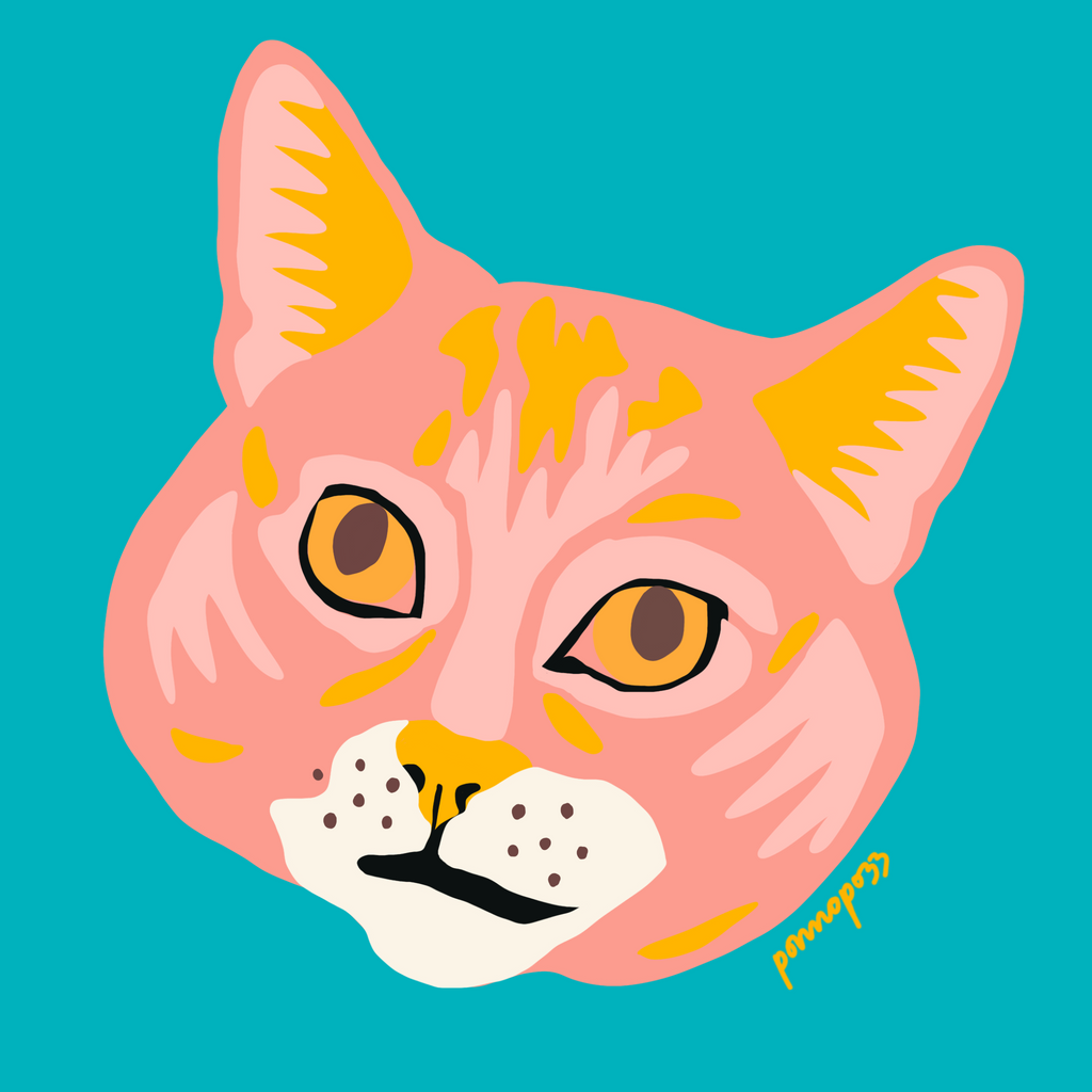 Cartoon illustration of Flip, a tabby cat. This tabby cat is peach colored with yellow stripes, on a blue background.