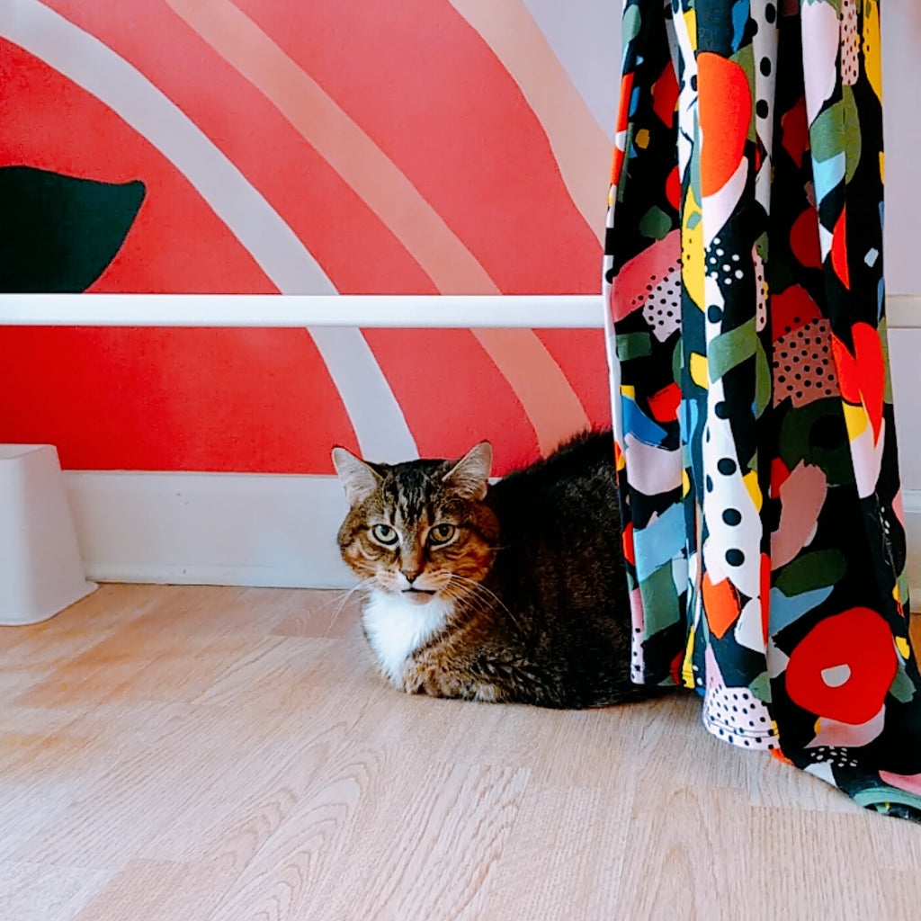 A tabby cat sits under a rack of clothing at a store.