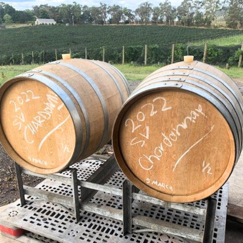 sense-of-terroir-wine-barrels