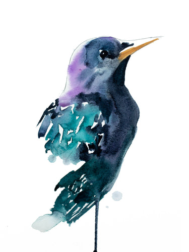 Starling-Week 11 of '52 Weeks of Watercolour Birds'  #52WeeksOfWatercolourBirds #Watercolor #Lukas