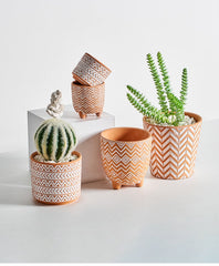 Terracotta planter