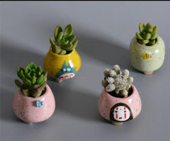 Mini succulent planters