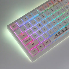 Backlight keycaps set