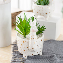 Ceramic animal planter