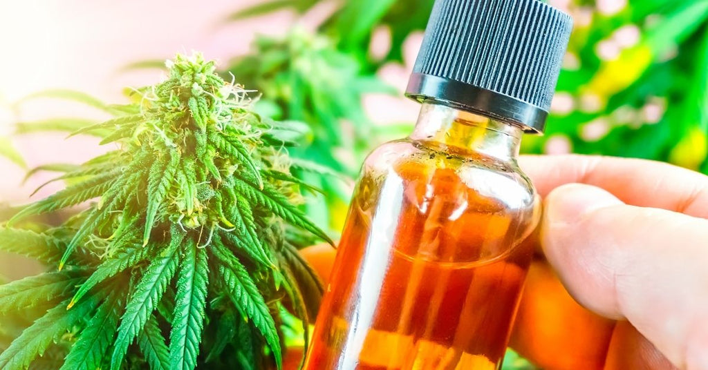 CBD oil and THC share many molecular properties but can cause different physical effects