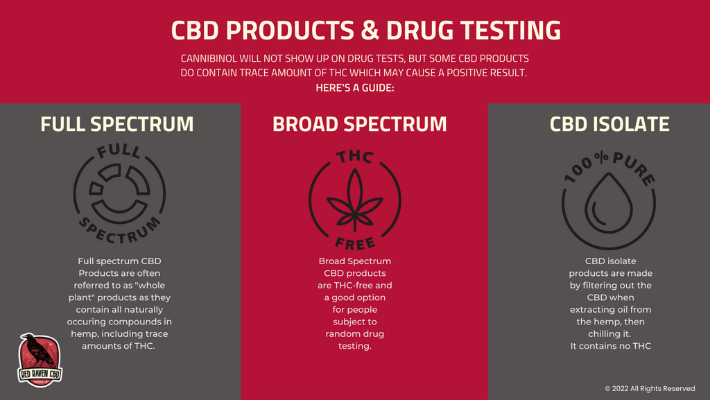 CBD Products and Drug Testing infographic