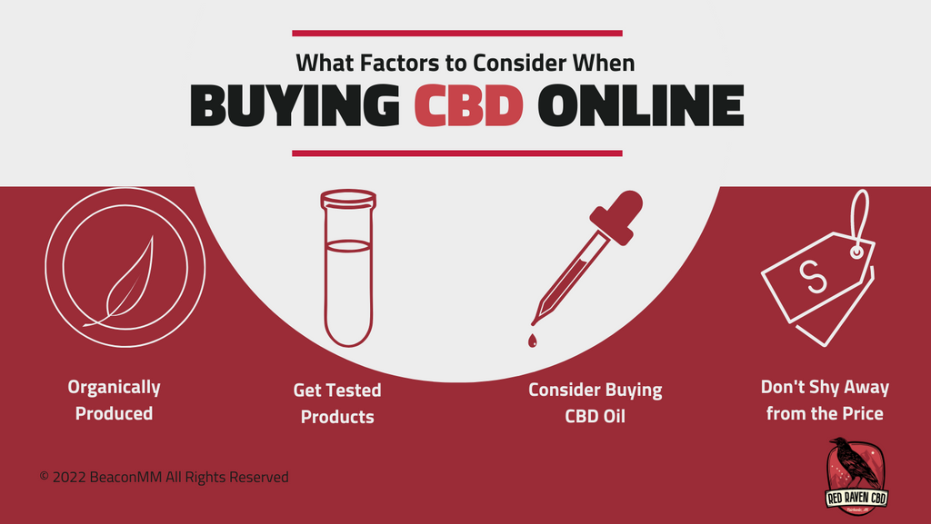 What Factors to Consider When Buying CBD Online infographic