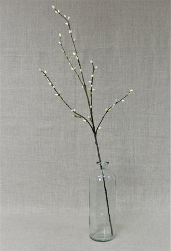 Waterlook® Birch, Pussy Willow Branches in Glass Cylinder - Distinctive  Designs