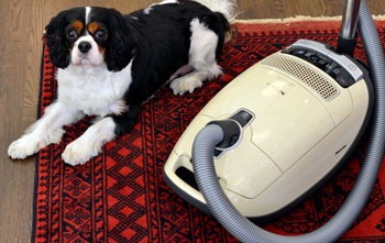 Charlie and His Miele