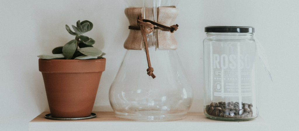 fresh roasted beans and a chemex next to a plant