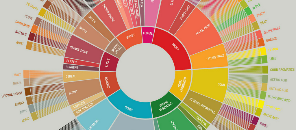 color wheel for coffee flavor chart