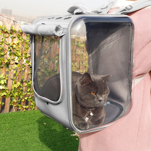 Kawaii Window Pet Carrier Backpack – My Kawaii Space
