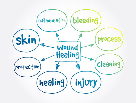 wound healing stages