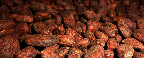 Ceremonial Cacao Beans