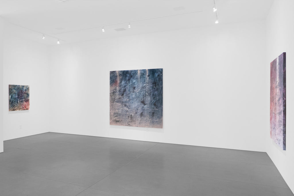 COLE STERNBERG SOLO EXHIBITION 2019 | the blue water was only a heavier and darker air