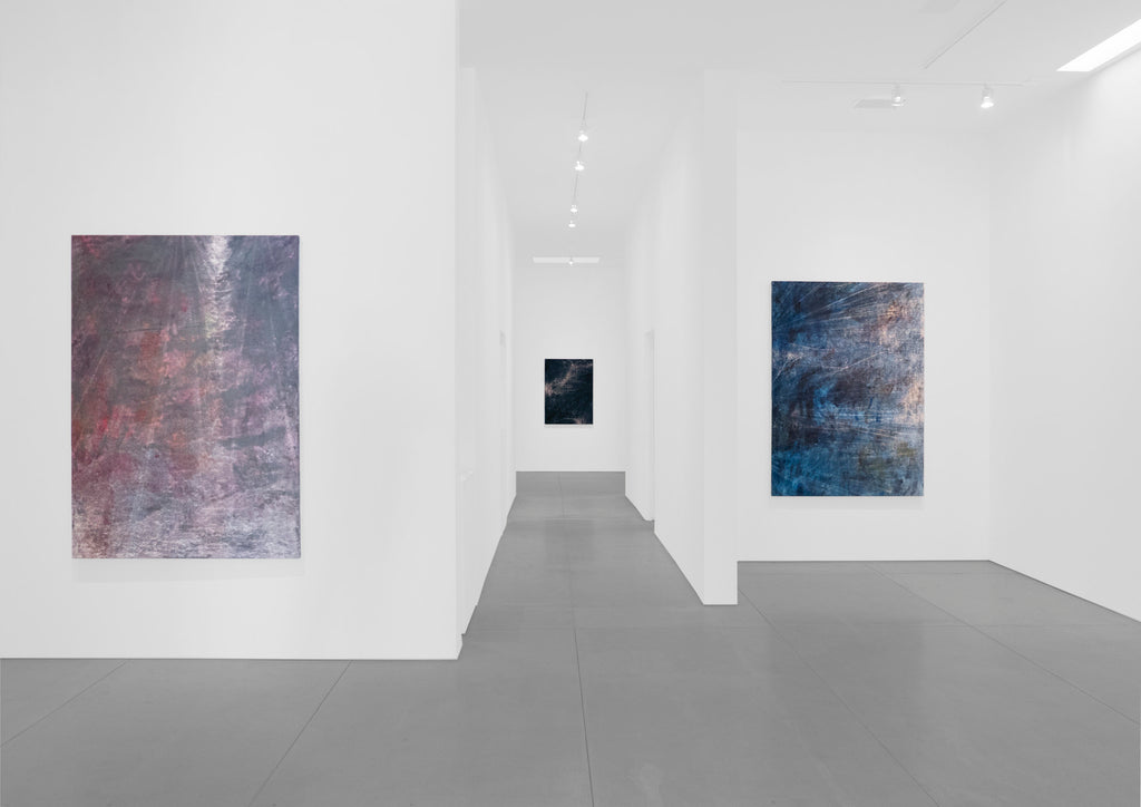 COLE STERNBERG SOLO EXHIBITION 2019 | the blue water was only a heavier and darker air