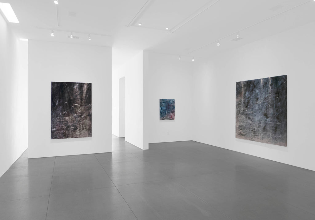 COLE STERNBERG SOLO EXHIBITION 2019 | the blue water was only a heavier and darker air