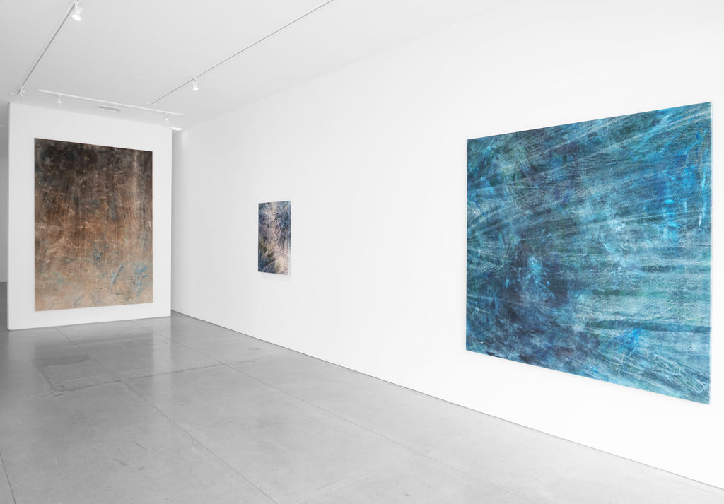 COLE STERNBERG SOLO EXHIBITION 2019 | the blue water was only a heavier and darker air