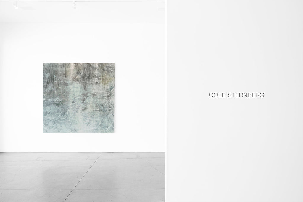 COLE STERNBERG SOLO EXHIBITION 2019 | the blue water was only a heavier and darker air