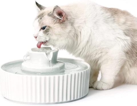 Cat water fountain