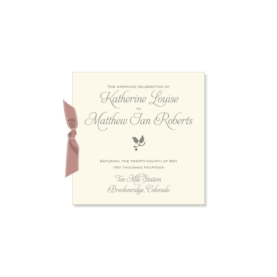 The Savannah Program - Richard's Notebook 3