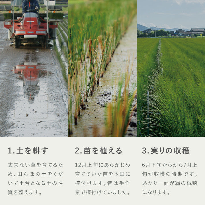 1.土を耕す 2.苗を植える 3.実りの収穫