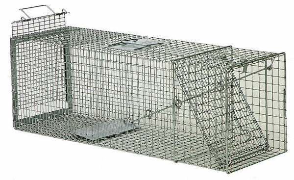 Choosing The Best Humane Animal Traps: Here Are 6 Factors to Consider