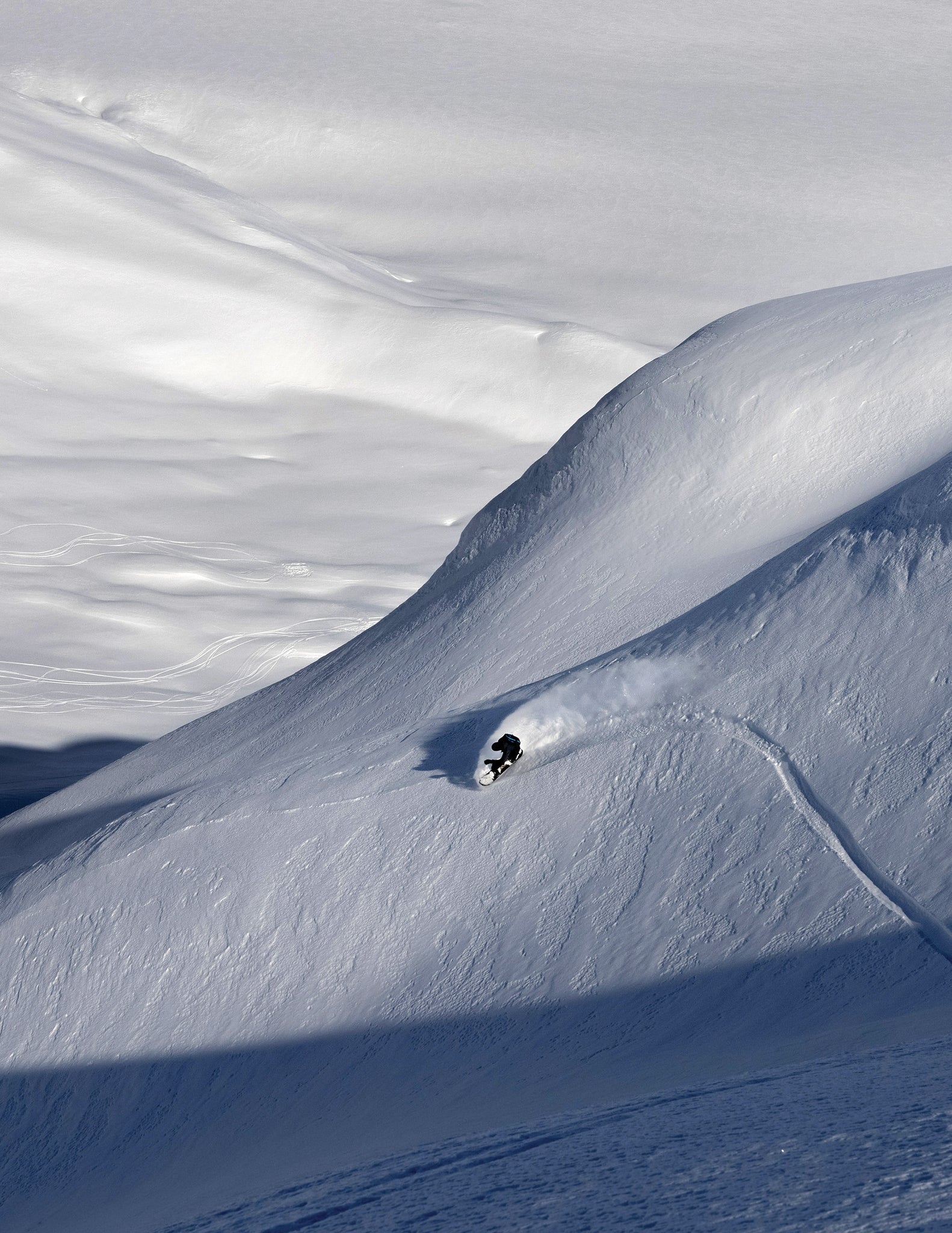 Even Birdman flies north occasionally. Alaska. // p: Joe Gall