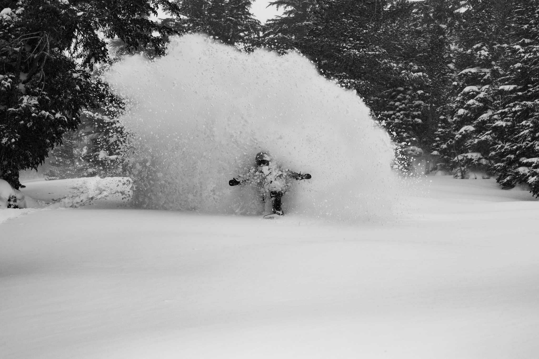 Hovercraft 2.0 | Photo Provided by Jones Snowboards