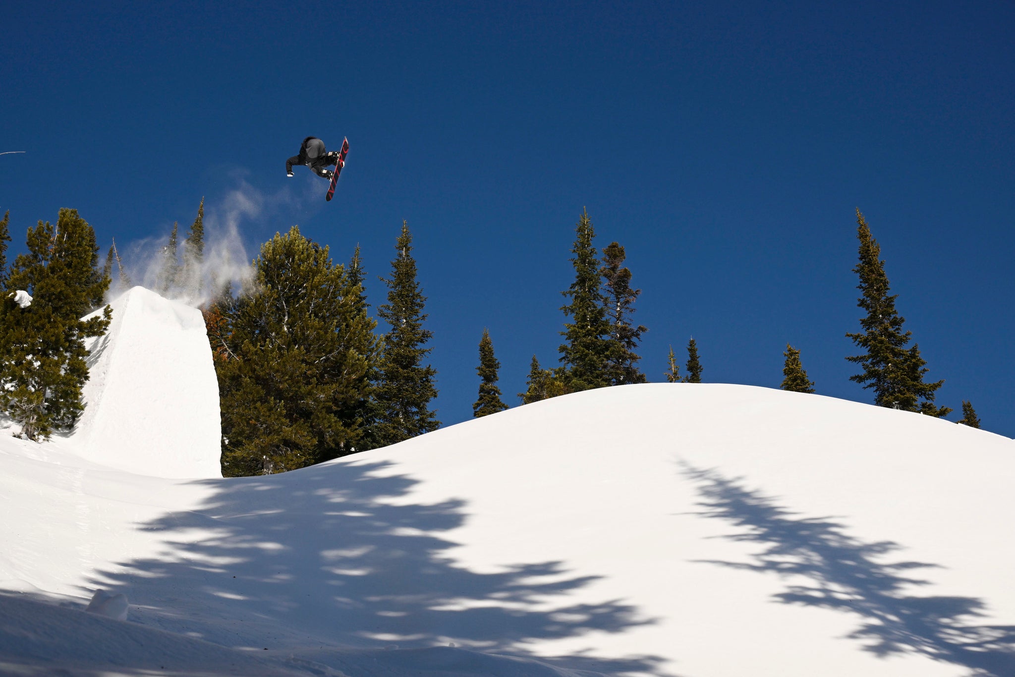 Jared Elston // p: Tim Zimmerman / Natural Selection Tour