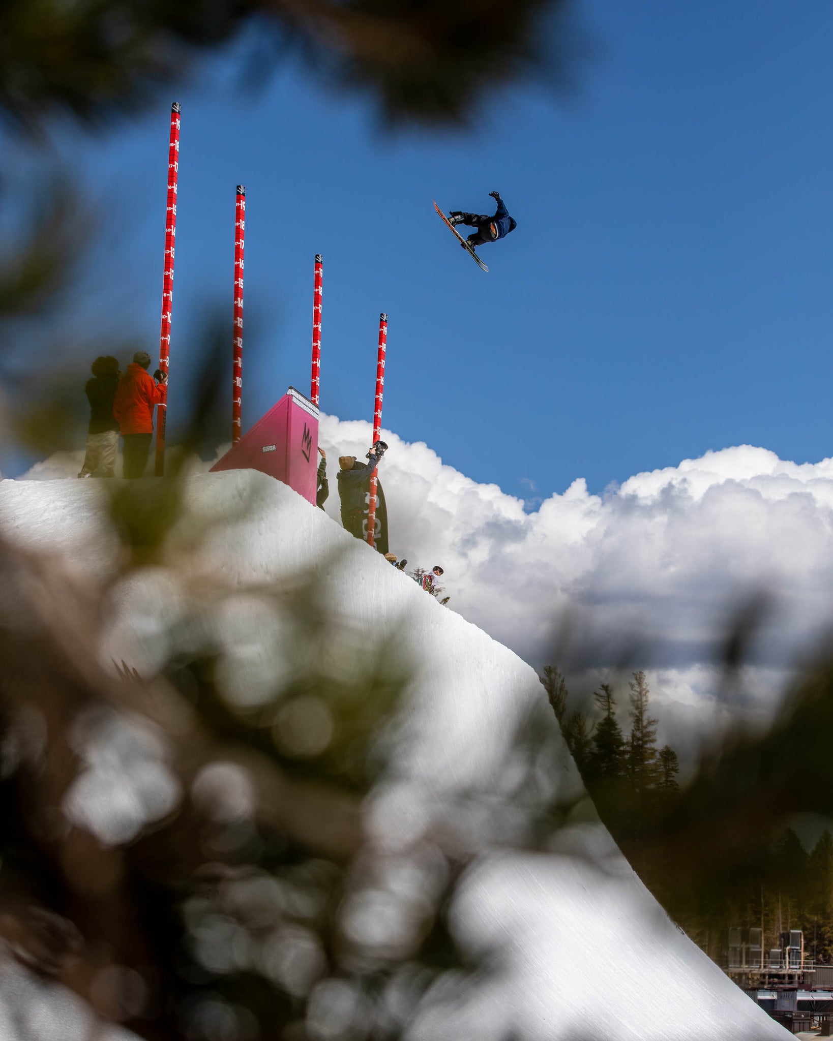 Judd putting the air in air to fakie | Photo: Mary Walsh