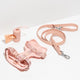 Blush Harness Walk Kit