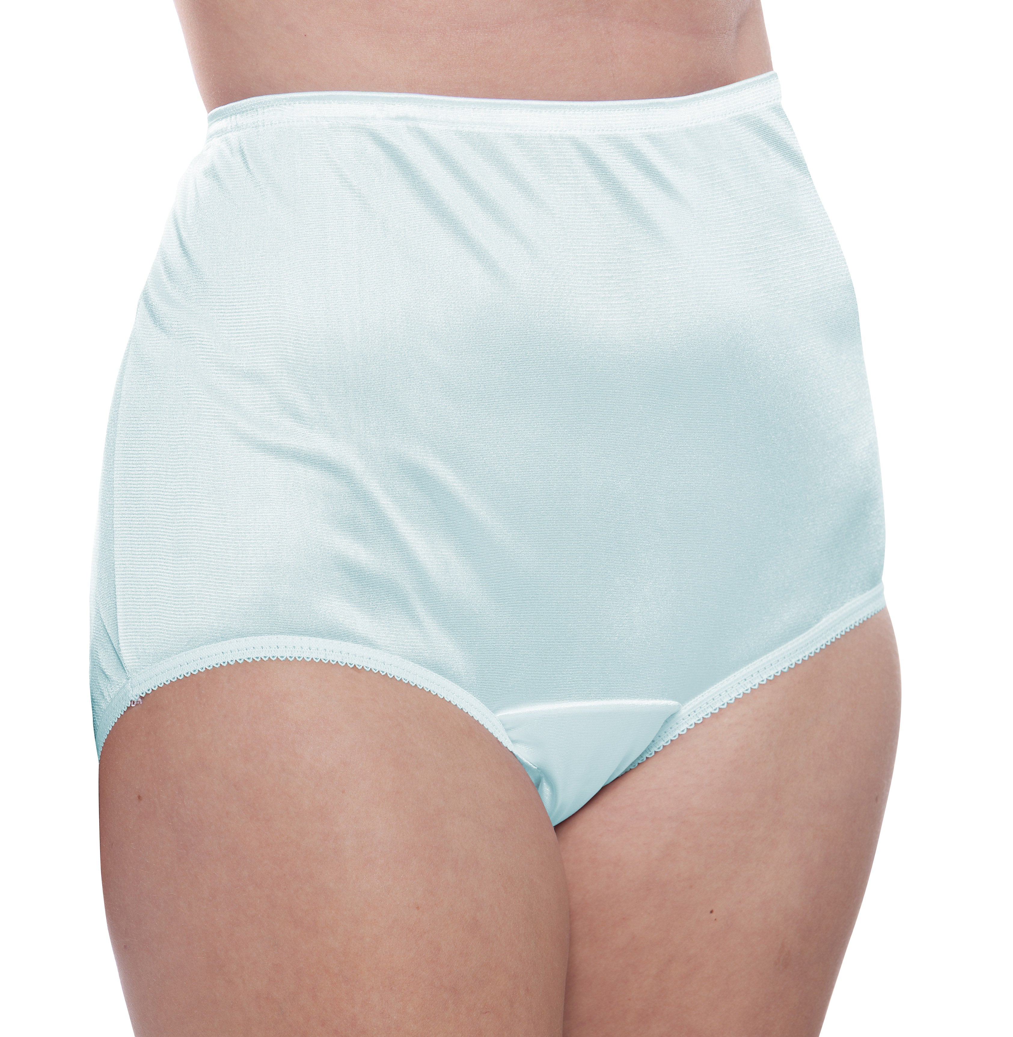 Fruit of the Loom Women's Underwear Nylon Brief Panties, White, 10