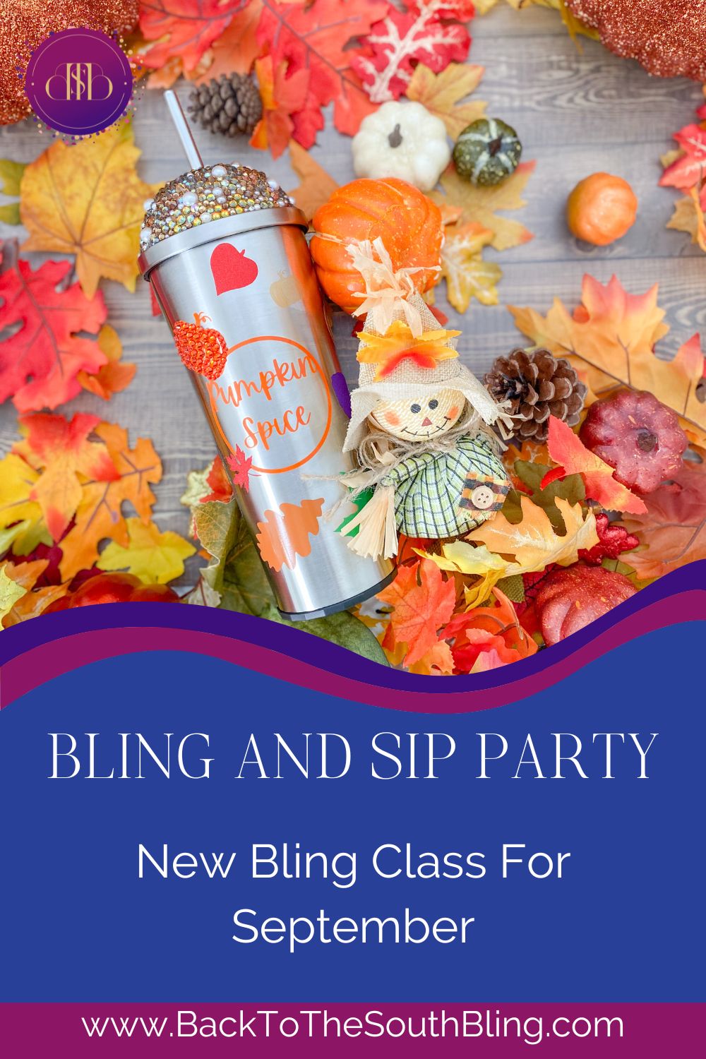 Bling Classes in Raleigh, NC