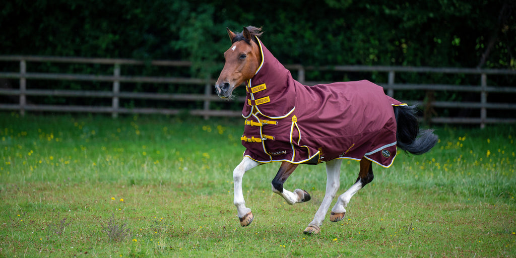 Horse cantering in field in a turnout rug