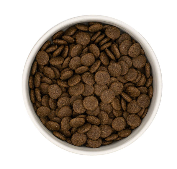 Bowl of Millbry Hill Kibble