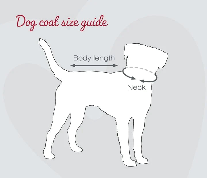Dog coat sizing diagram