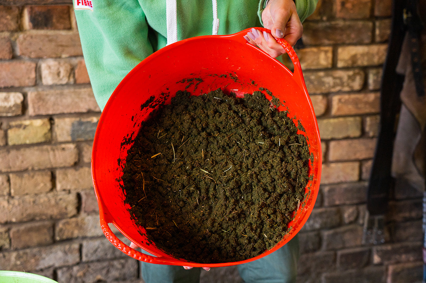 Mash Based Feed for Horses with Poor Dentition