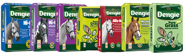 Dengie Forage Replacers