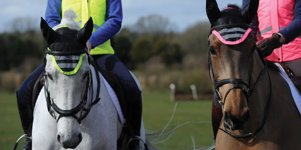 Horses & Riders wearing Hi Viz