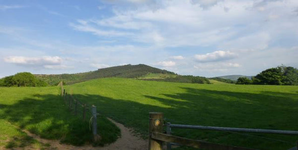 View across fields at Great Ayton, looking towards Airyholme Lane