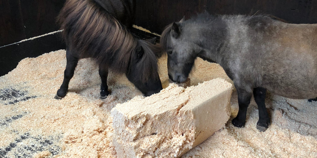 Ponies in stable with bedding