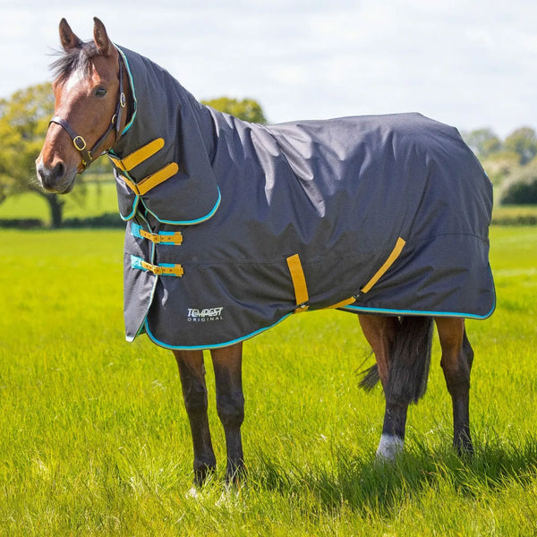 Shires Heavyweight Turnout Rug